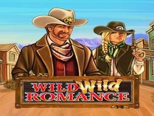 Wild Wild Romance game icon